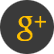 Google Plus